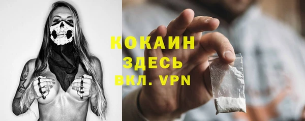 гидра Алексин