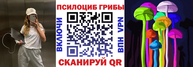 ссылка на мегу онион  Орёл  Псилоцибиновые грибы мицелий 